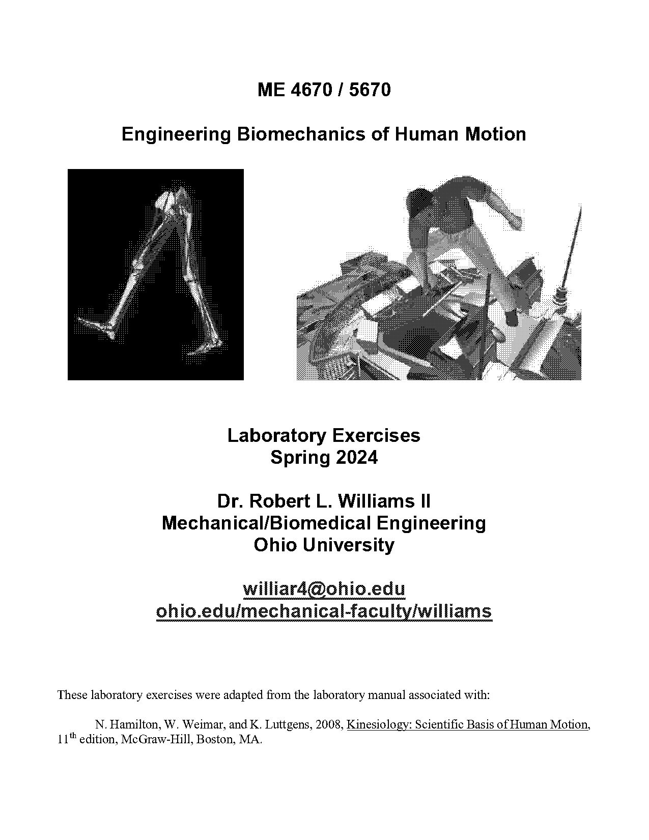 ball bearings motion lab report