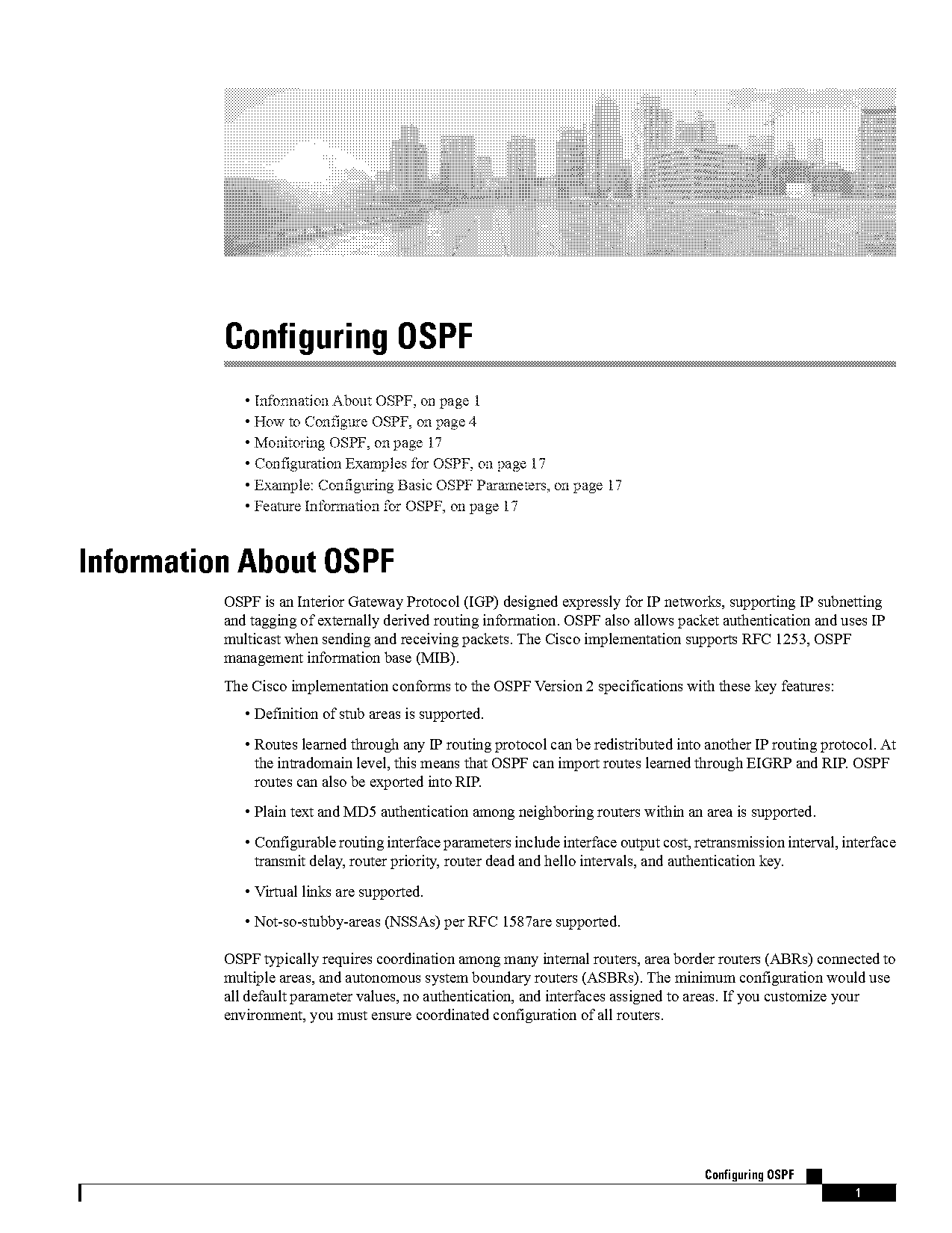 ospf routing protocol commands