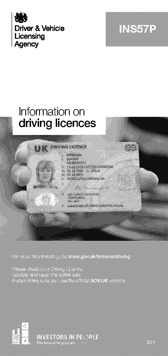 online driving licence details